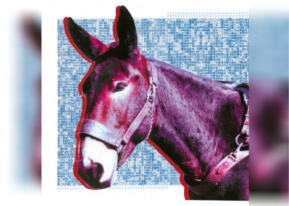#43. Ultimate Success Today by Protomartyr